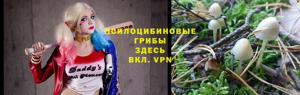 шишки Апатиты