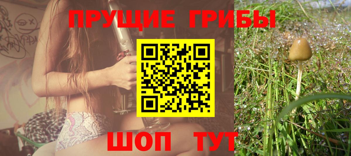 Кострома  Галлюциногенные грибы GOLDEN TEACHER  Вход с VPN  Псилоцибиновые грибы MAGIC MUSHROOMS 