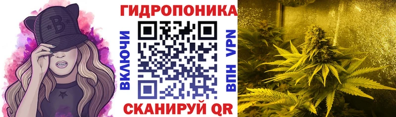 Конопля VHQ  МЕГА как войти  Кострома  купить закладку 