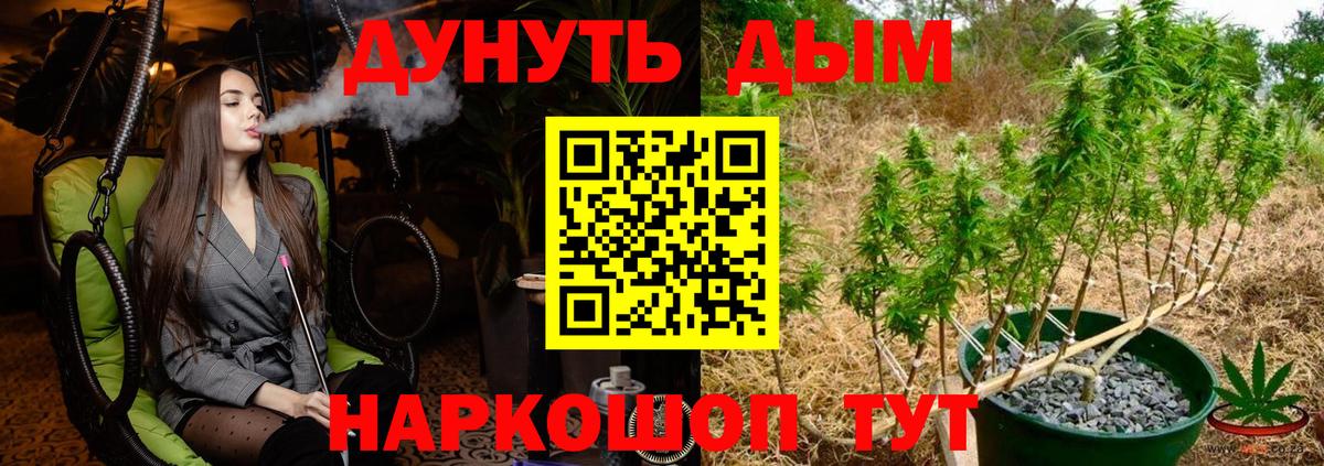 Кострома  Шишки марихуана тримм  МАРИХУАНА планчик  Бошки марихуана конопля  Вход с VPN  Канабис марихуана 